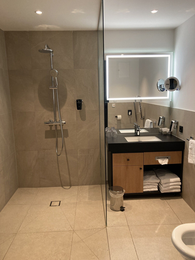 Bathroom 5, Best Western Parkhotel Hagenberg, Freistadt
