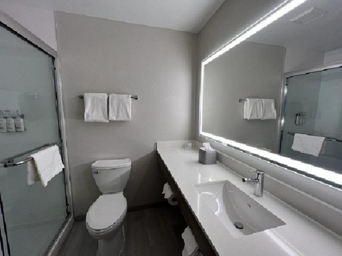 Bathroom 5, Holiday Inn Express RENSSELAER by IHG, Jasper