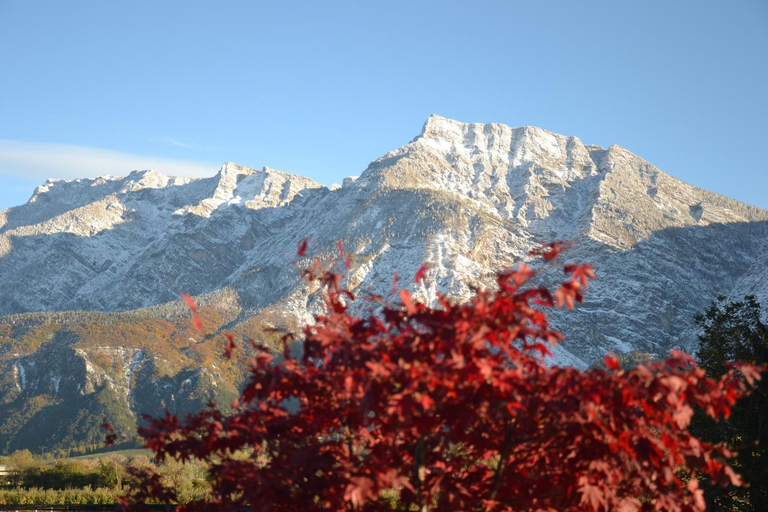 Others 5, Al Brenta, Trento