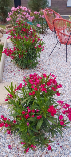 Others 2, chambre d'hote La Paisible, Vendée