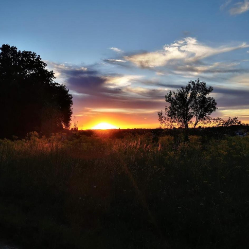 Others 4, Le Bonheur- Suite Cognac, Charente