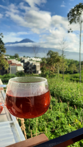Food & Drinks, Villa A8adi Batu, Malang
