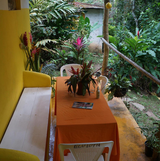 Others 5, Ecotopia Park, Las Terrenas