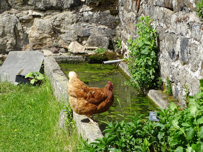 Others 3, La Ferme de Madelonnet, Haute-Loire