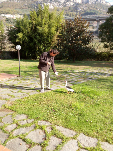 Others 4, Il Pozzo e il Melograno, Savona