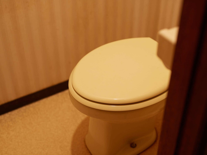Bathroom 4, Hayamasou, Tōkamachi