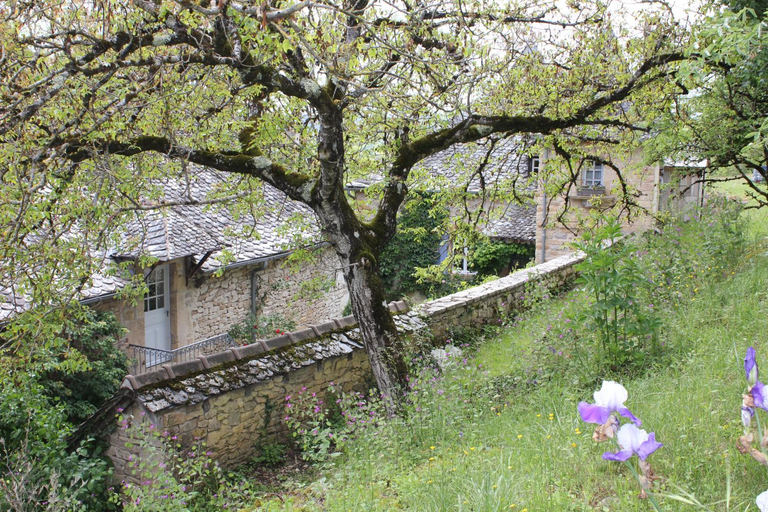 Others 5, Les Terrasses de Labade Gite et Chambres d'hotes, Aveyron