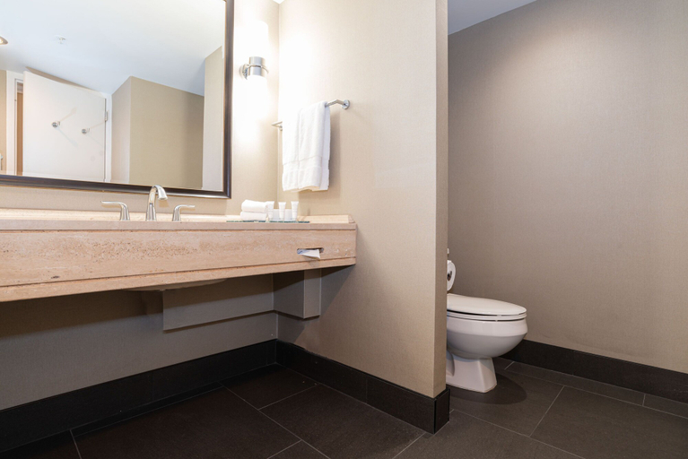 Bathroom 4, Sandman Signature Edmonton Downtown Hotel, Division No. 11