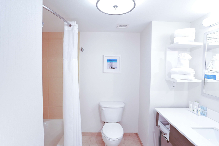 Bathroom 4, Hampton Inn & Suites Tampa-Wesley Chapel, Pasco