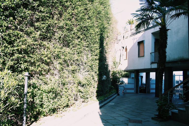 Others 4, Santa Clara, Napoli