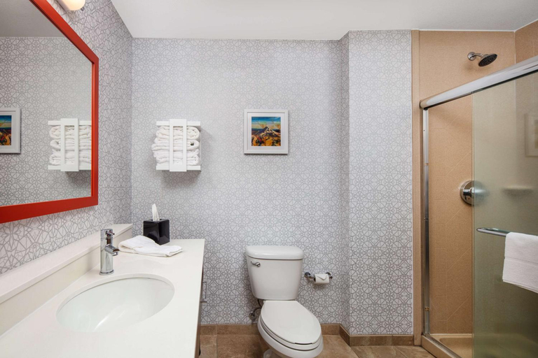 Bathroom 4, Hampton Inn Medford, Jackson