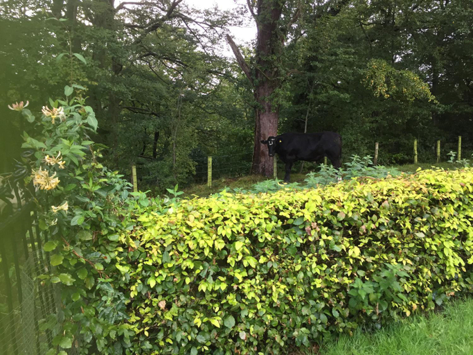 Others 5, Retreat at The Knowe Auchincruive Estate, South Ayrshire