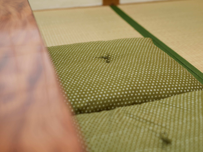 Bedroom 3, Hayamasou, Tōkamachi