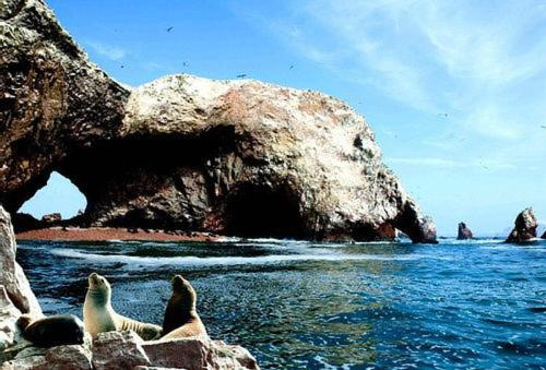 Others 3, AQUAMARINE PARACAS Beach Hostal, Pisco
