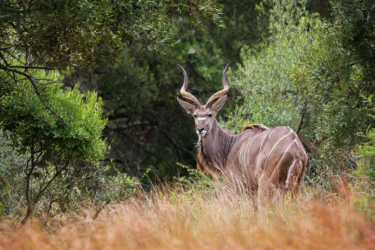 Others 3, Mahikeng Lodge, Bojanala