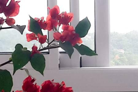 Others 5, Chambre d'hote Kay Arlette - chez l'habitant, Le Robert