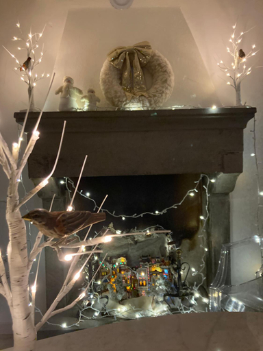 Food & Drinks 5, La pecora e l agnello, Arezzo