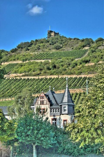 Others 5, Wohnen im Burghotel, Rheingau-Taunus-Kreis