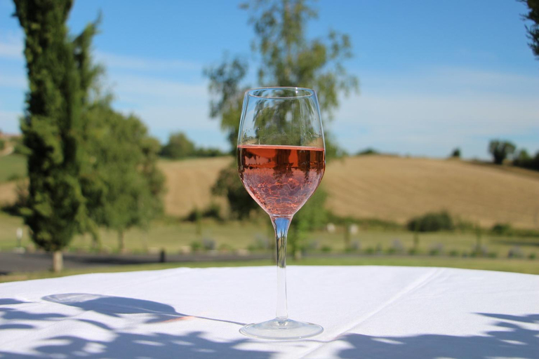 Food & Drinks 4, Bastide De Luzert, Tarn