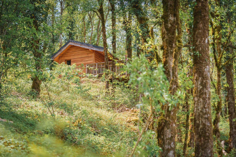 Exterior & Views 1, Les Cabanes du Val de Loue - Hebergements atypiques tout confort, Doubs