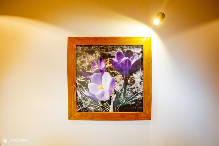 Others 2, Willa Dorula, Tatra