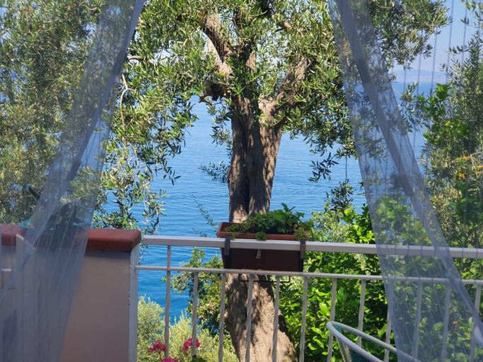 Others 4, La Palombara B&B, Napoli