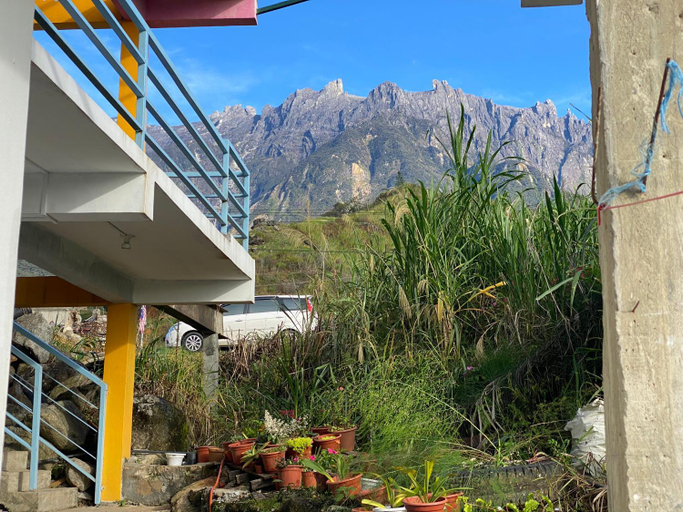 Others 5, Kupi-kupi and Stay, Ranau