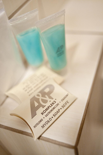 Bathroom 2, A&P Motel, Katowice City