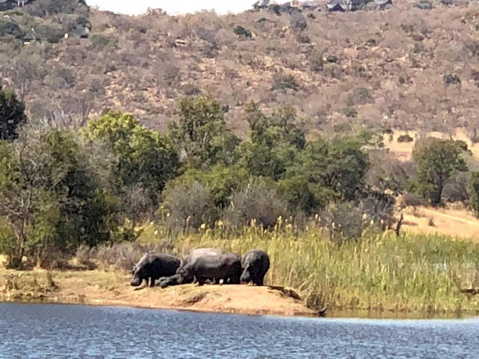 Others 3, Kuwisa Lodge, Waterberg
