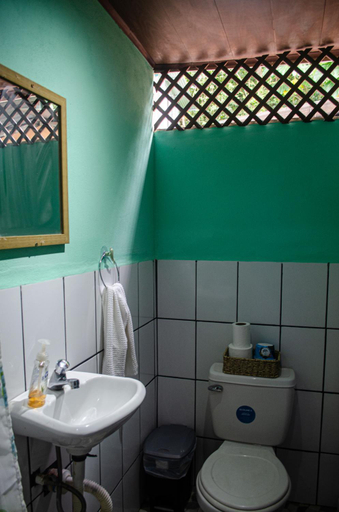 Others 5, The Jungle Container, Aguirre