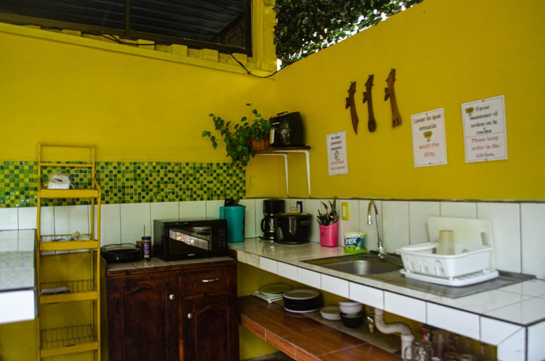 Others 3, The Jungle Container, Aguirre