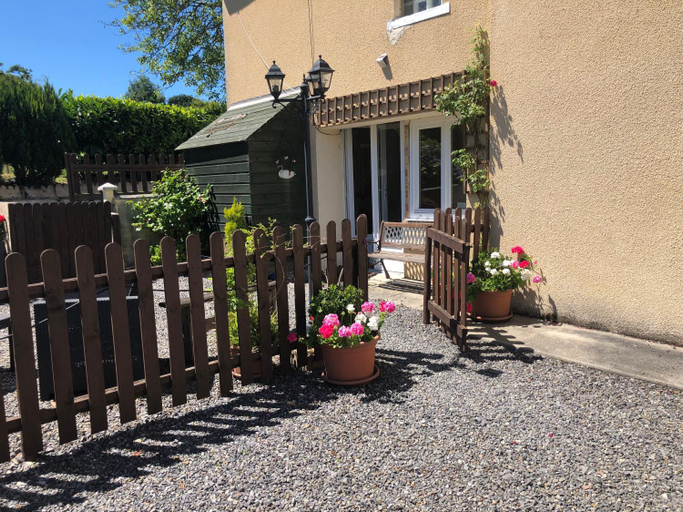 Others 5, Le Grand Camelia, Manche