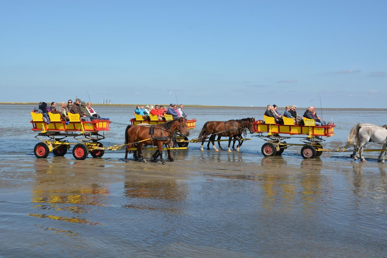 Others 5, Hotel Kenny & Henry, Cuxhaven