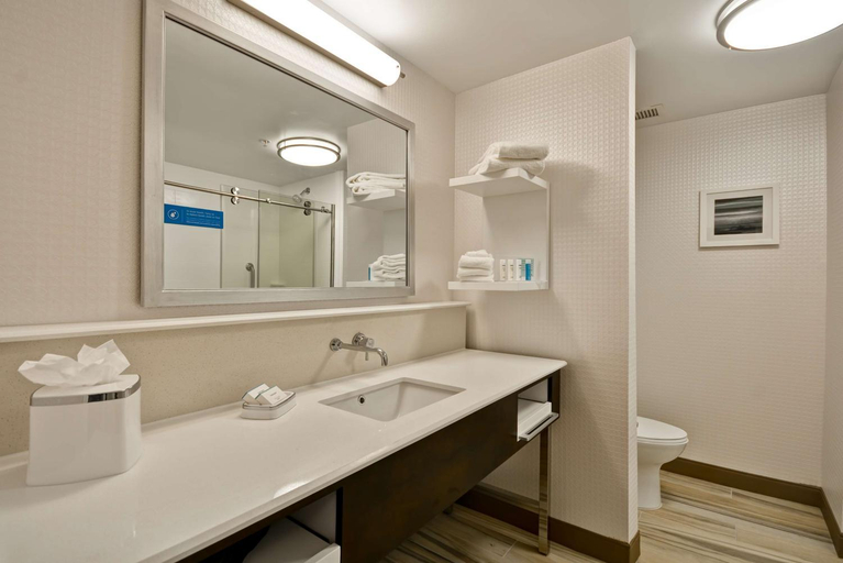 Bathroom 3, Hampton Inn & Suites Detroit/Warren, Macomb
