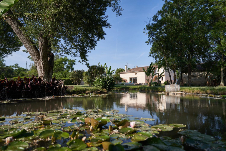 Others 2, Clos Bernon, Gironde