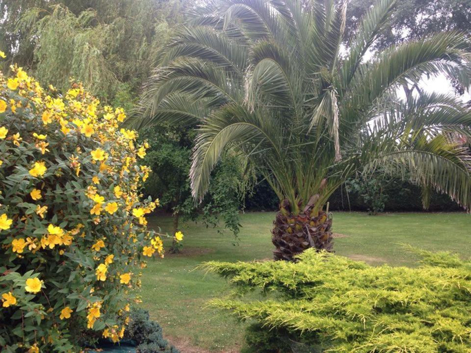 Others 5, Les Charmilles, Manche
