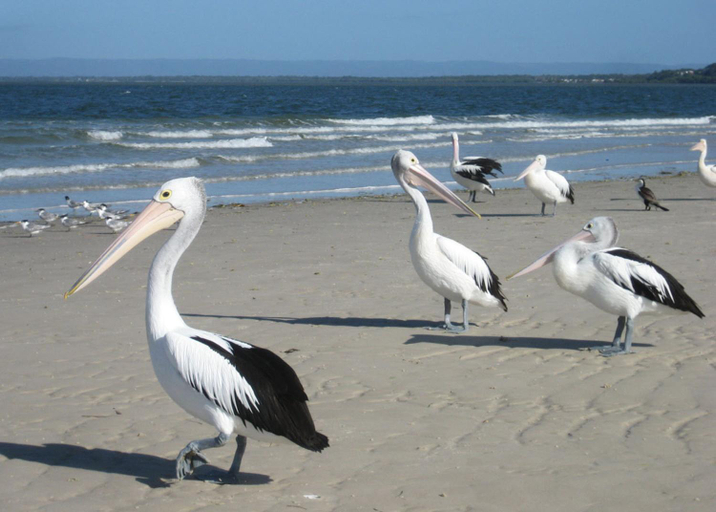 Others 4, Fairways Golf & Beach Retreat Bribie Island, Bribie Island