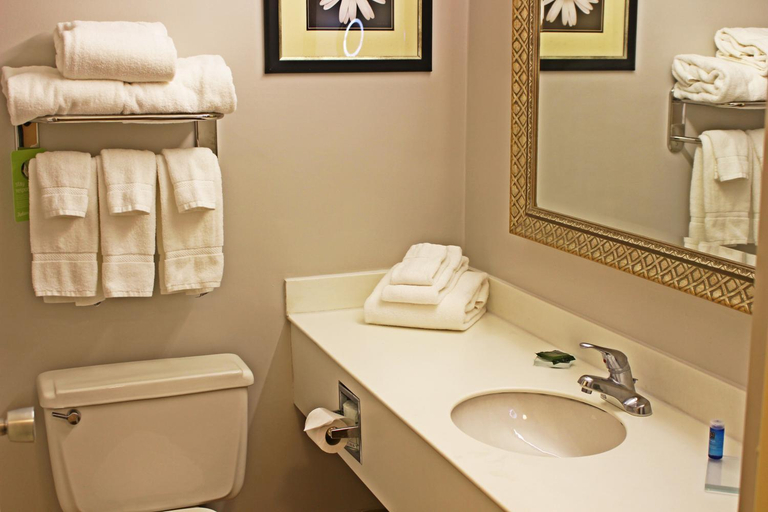 Bathroom 4, Clarion Inn Sheffield Muscle Shoals, Colbert