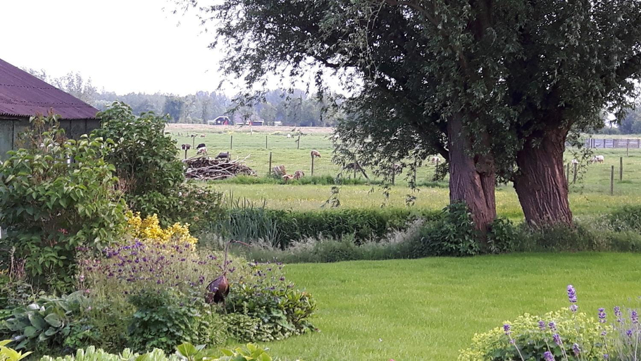Others 3, B&B de Oude Hofstee, Strijen