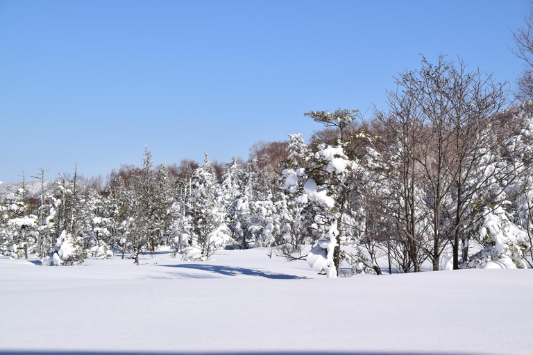 Others 5, Villa Ichinose, Yamanouchi