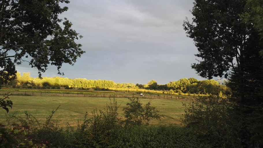 Others 4, les Bovrieres, Nord