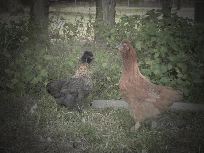 5, La Ferme Du Vincin, Morbihan