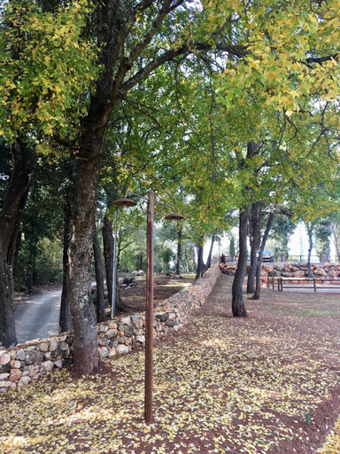 Surrounding environment, La Tenuta di Castelvecchio, Siena