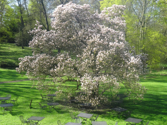Garden, Les chambres de Preisch, Moselle