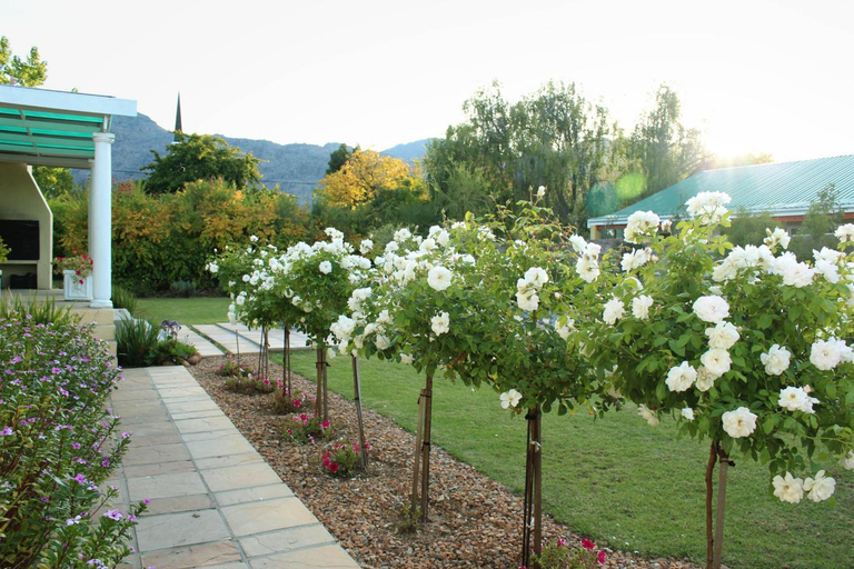 Others 4, Porterhouse Eleven, Cape Winelands