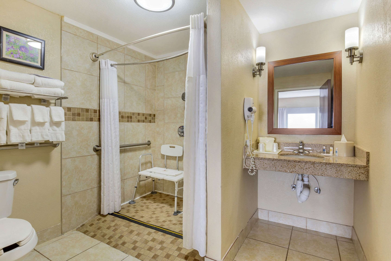 Bathroom 4, Comfort Suites Wilson I-95, Wilson
