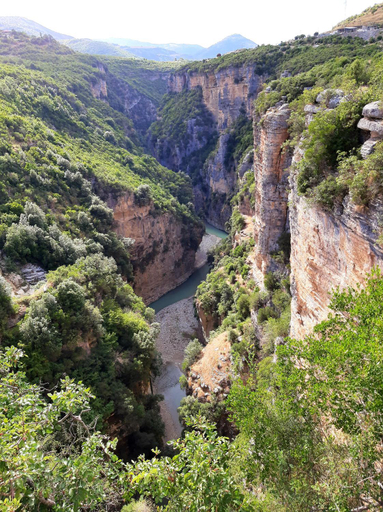 Surrounding environment