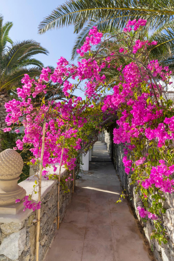 Others 5, Dorion Hotel, South Aegean