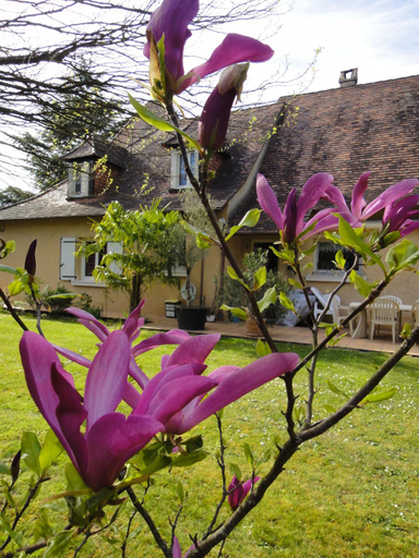Others 5, Le Tambourinet, Dordogne