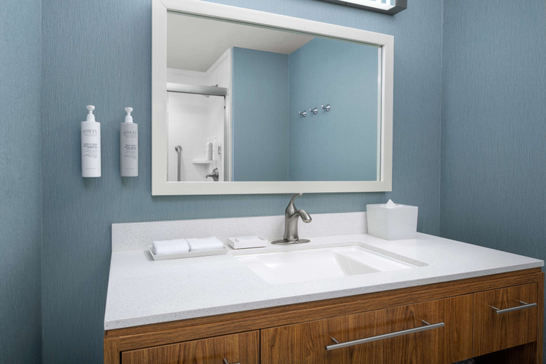 Bathroom 4, Home2 Suites by Hilton Tallahassee State Capitol, Leon